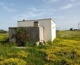 Annesso agricolo con terreno