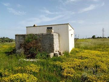 Annesso agricolo con terreno
