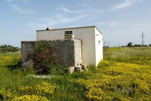 Annesso agricolo con terreno
