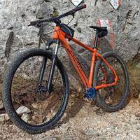 Mountain bike mtb