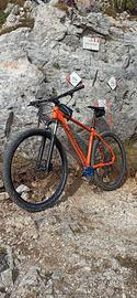 Mountain bike mtb