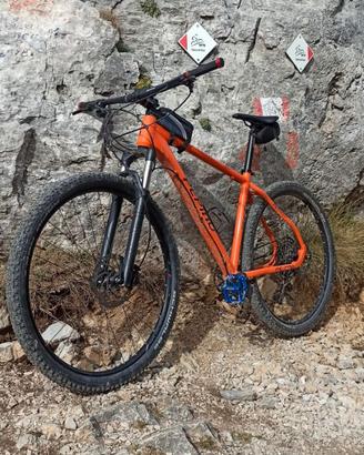 Mountain bike mtb