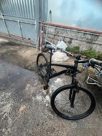bicicletta mtb
