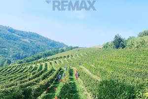 Azienda Agricola - Alba