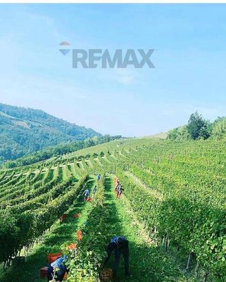 Azienda Agricola - Alba
