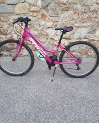 Mtb 24