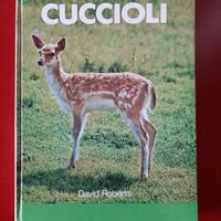 IL PRIMO LIBRO DEI CUCCIOLI - David Roberts