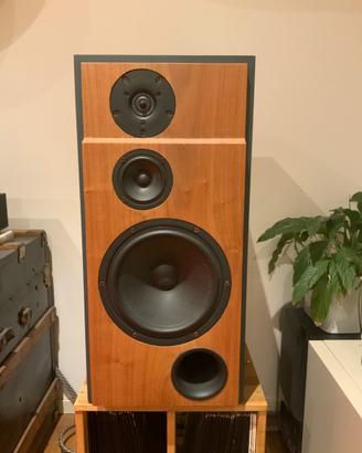 Diffusori/casse Troels Gravesen Discovery 3W