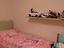 Immagine 9