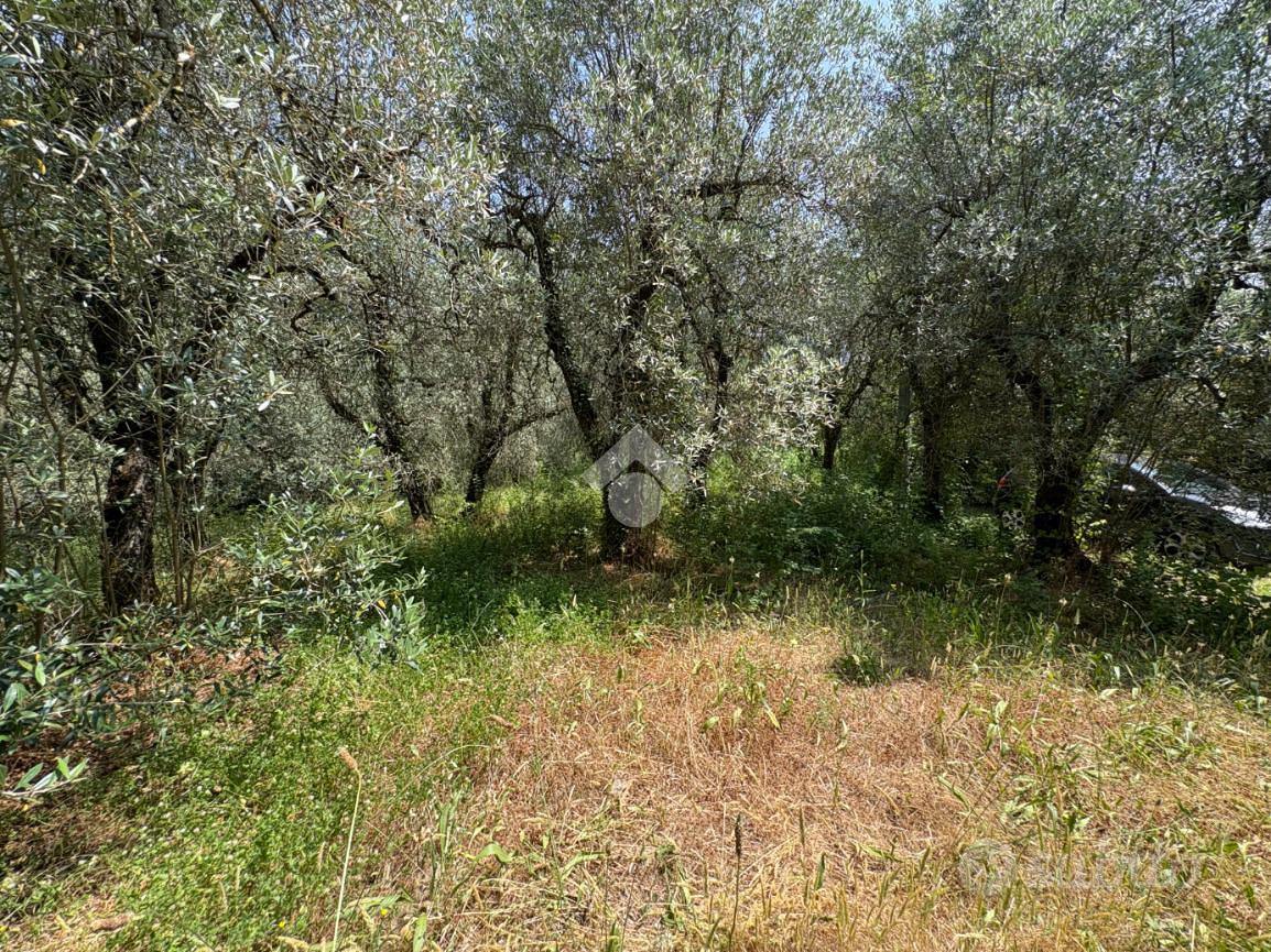 TER. AGRICOLO A NARNI - Vista 4