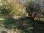 Immagine 9