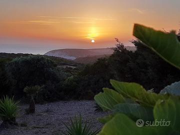 Isola di Sant'Antioco - Luglio fronte mare