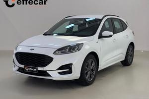 FORD Kuga 1.5 EcoBlue 120 CV aut. 2WD ST-Line IV