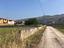 Immagine 7