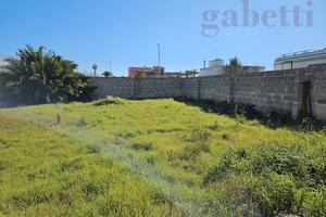 Terreno Agricolo Copertino [CO 312VRG]