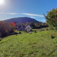 TER. AGRICOLO A ALATRI