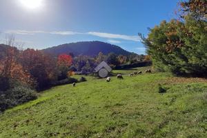 TER. AGRICOLO A ALATRI