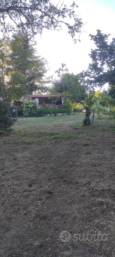 Terreno con due piccoli fabbricati - Vista 2