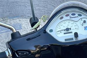 Vespa lx 50 4 tempi