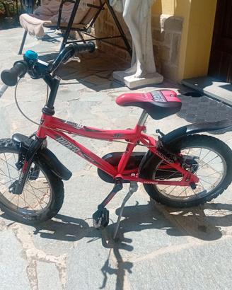 Bicicletta bimbo