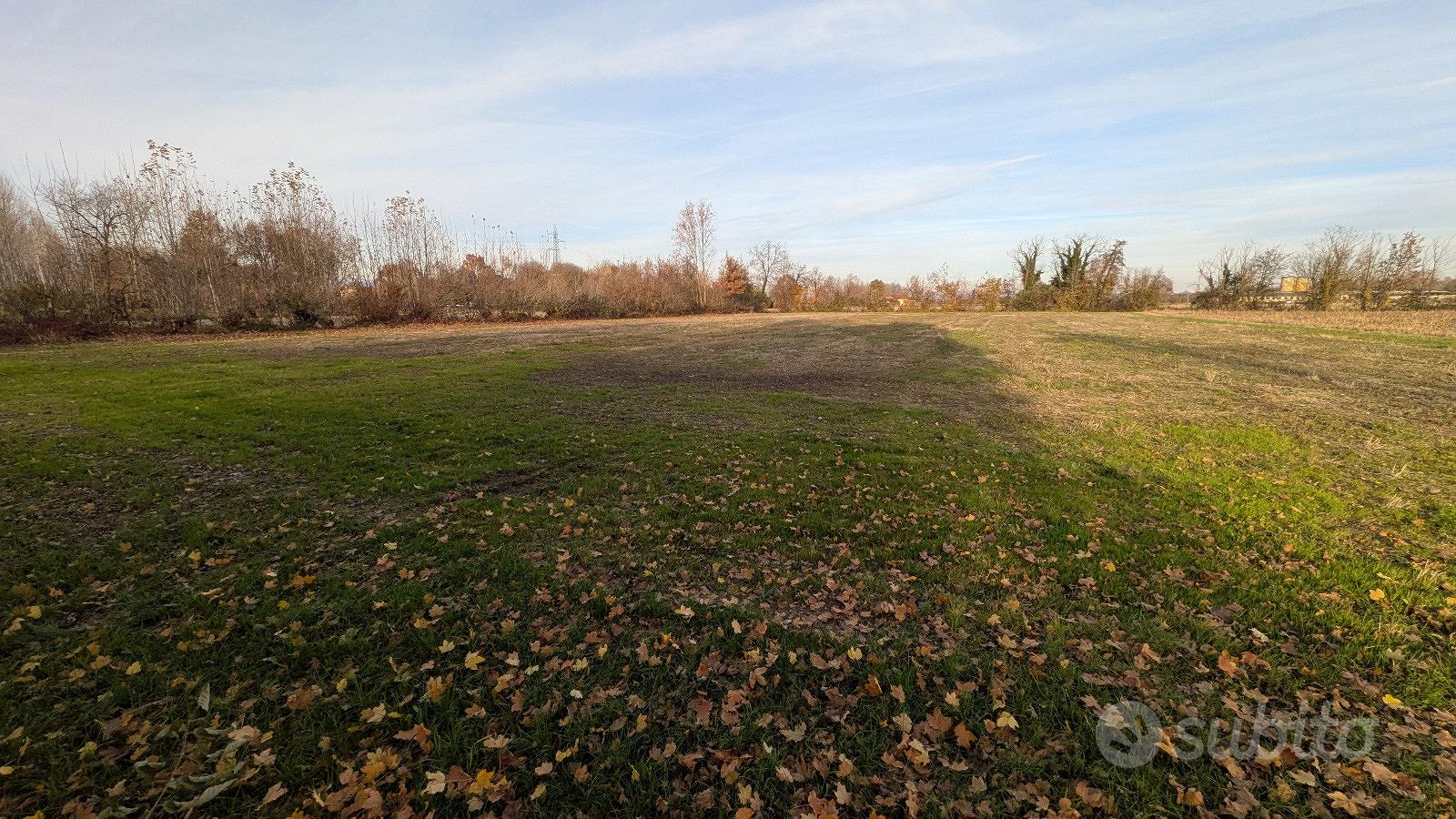 Terreno agricolo - Bannia di Fiume Veneto (PN) - Vista 3
