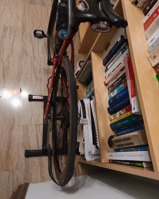 bicicletta da corsa