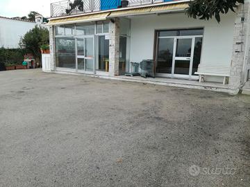 Locale commerciale Circeo