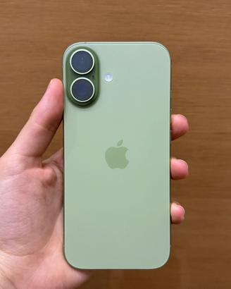 iPhone 256GB Verde – Batteria 100% – Come Nuovo