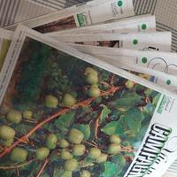 riviste per lavori orto e giardino anno 2005