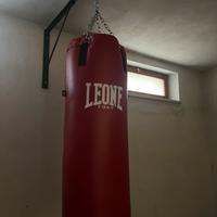 Sacco Box Leone 30kg