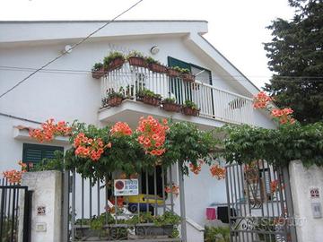 A 50m dal mare. Lungomare Mattei