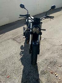 BENELLI LEONCINO 500