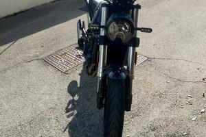 BENELLI LEONCINO 500