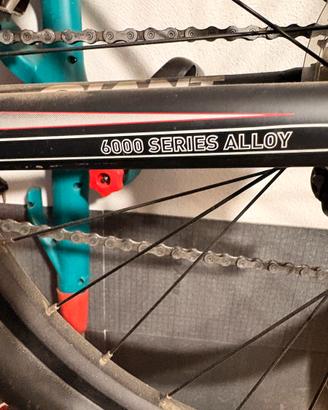 Mtb Giant