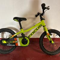 Mtb Bimbo Focus 16"