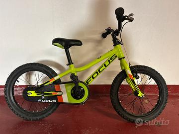 Mtb Bimbo Focus 16"