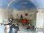 Immagine 18