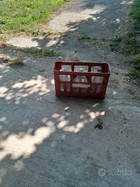 60 Dame vetro 5 litri con cestelli