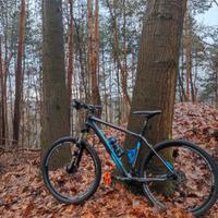 MTB carbonio 27.5