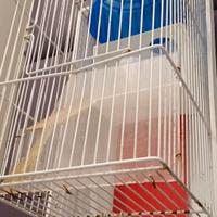 Gabbia per criceti o simili