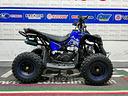 mini-quad-50-renegade-blu