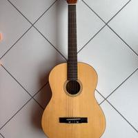 Fender Acoustics