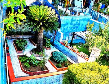 Casa vacanze Vietri Sul Mare - Dragonea