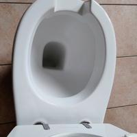 wc a pavimento per anziani e disabili