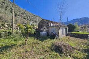 TER. RESIDENZIALE A BADALUCCO