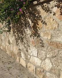 Pietra trani grezza