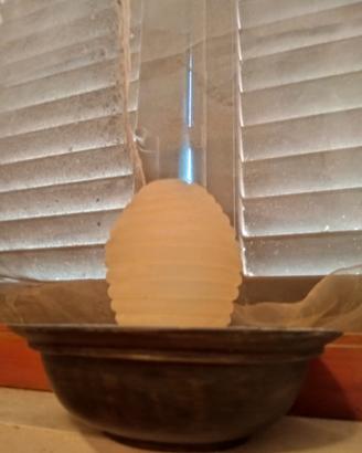 fontana zen
