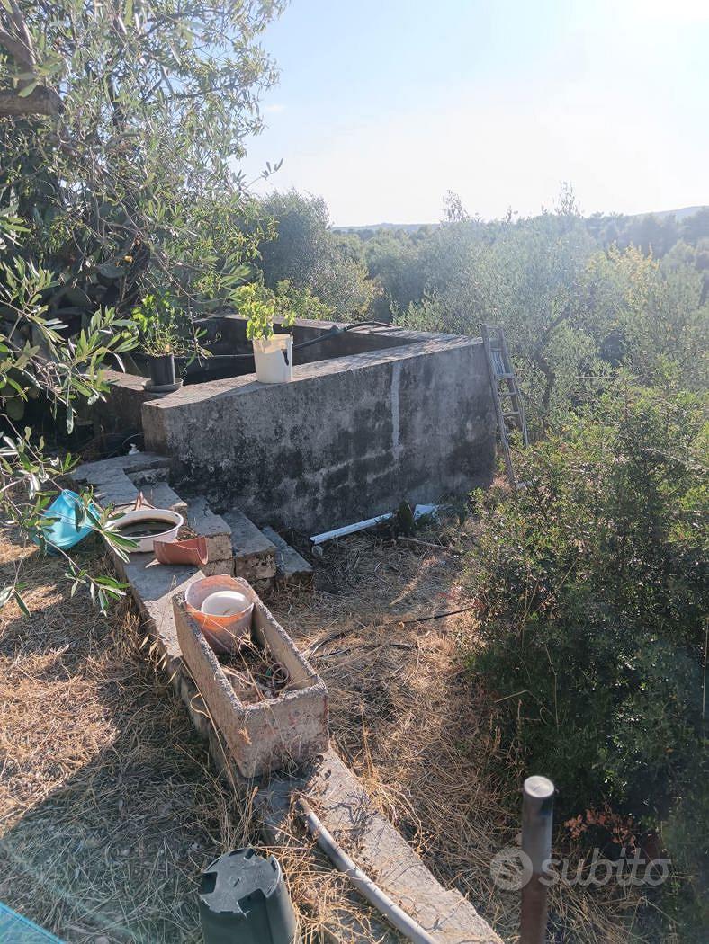 Terreno Agricolo Crispiano [Cod. rif 3334098VRG] - Vista 4