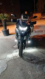 Benelli TRK 702 - 2024