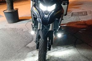 Benelli TRK 702 - 2024